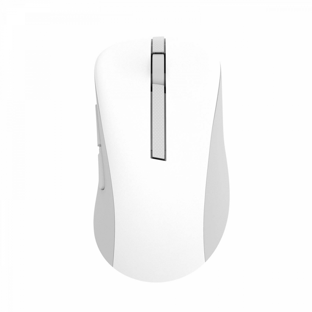 Miška ASUS Wireless Mouse MD102, brezžična, tiha, 2.4Ghz in Bluetooth, bela