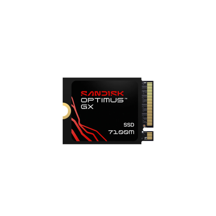 SANDISK 1TB Optimus 7100M M.2 2230-S3-M PCIe 4.0 NVMe 2.0 SSD disk						