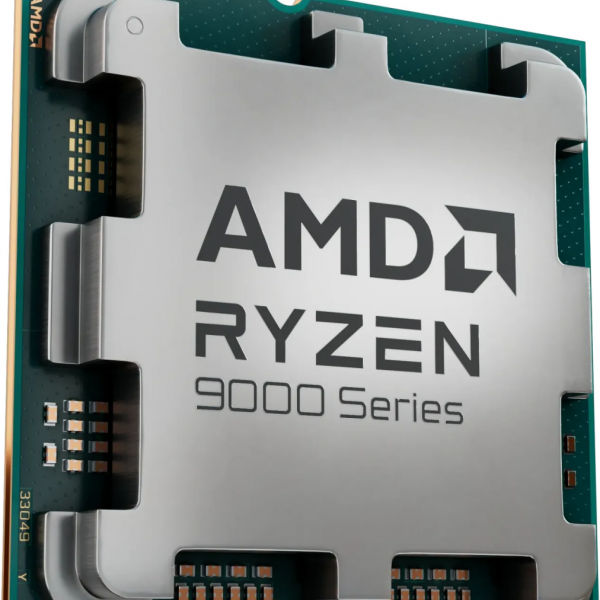 AMD Ryzen 9 9900X procesor AM5