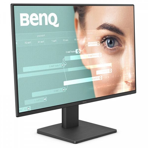 BENQ GW2491 60,45cm (23,8