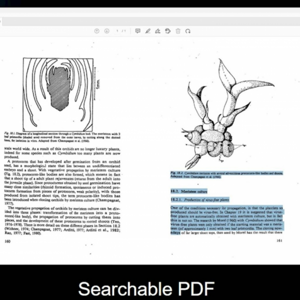 Canon IRIScan Desk 7 Pro