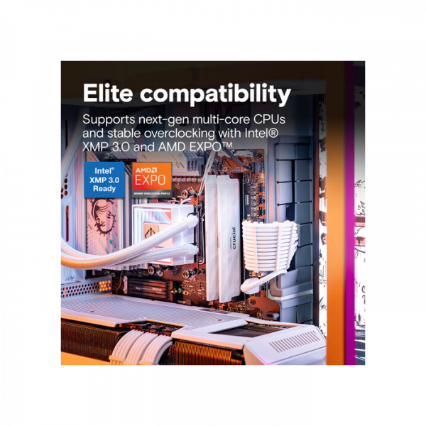 Crucial Pro 16GB DDR5-6400 UDIMM CL32, 1.35V, Bel