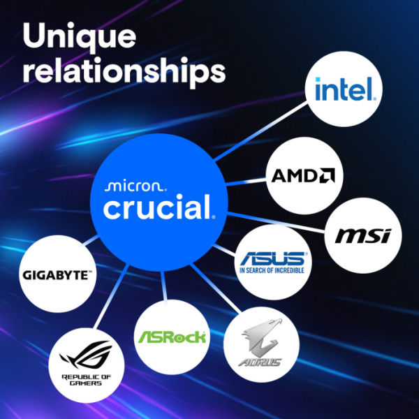Crucial Pro 24GB DDR5-5600 UDIMM CL46, 1.1V