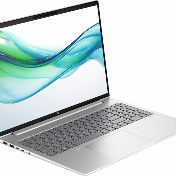 HP ProBook 460 G11 U5-125U/16GB/SSD 512 GB/16''WUXGA 300/W11Home