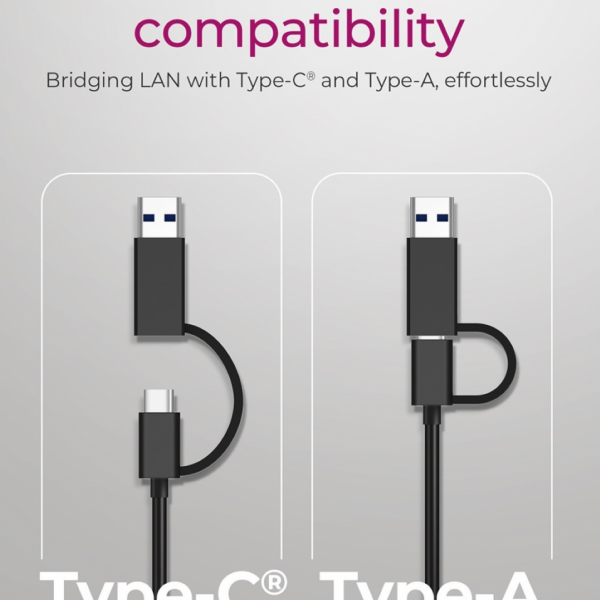 Icybox IB-LAN301-C3 USB-A in USB-C mrežna kartica/adapter na 2.5 Gbit Ethernet
