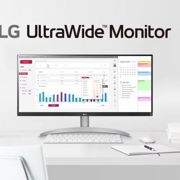 Monitor LG 29