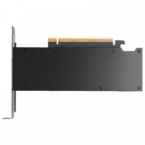 PNY RTX 2000 Blackwell 16GB DDR6 ECC VCNRTXPRO2000-SB profesionalna grafična kartica