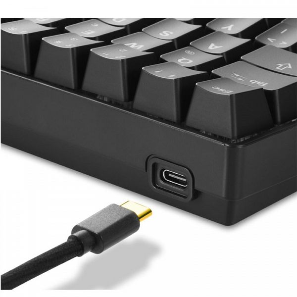 SHARKOON SKILLER SGK50 S4 (Red) žična RGB mehanična slo tisk tipkovnica