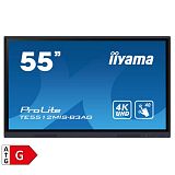 IIYAMA ProLite TE5512MIS-B3AG 55