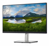 Monitor DELL P2422H