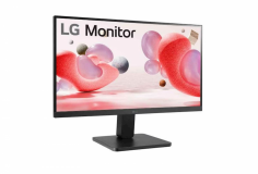 Monitor LG 22