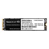 Teamgroup 256GB SSD MS30 M.2 2280 SATA3