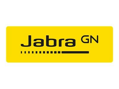 JABRA Evolve 30 II USB C/A Mono UC