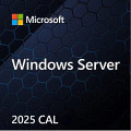 MS DSP WIN Svr UCAL 2025 5 Clt (EN)
