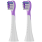 ADBTH09V's accessory Brush Head, 2 pcs
