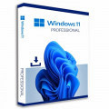 DSP Windows 11 Professional 64bit, angleški