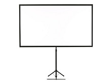 EPSON Mobile X-Type Screen