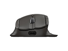 HP Ultra-Fast Scroll Wireless Mouse 785M