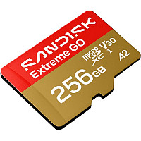 SanDisk 256GB Extreme GO microSDXC UHS-I spominska kartica
