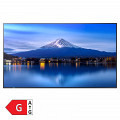 SHARP MultiSync PN-P656 163cm (64
