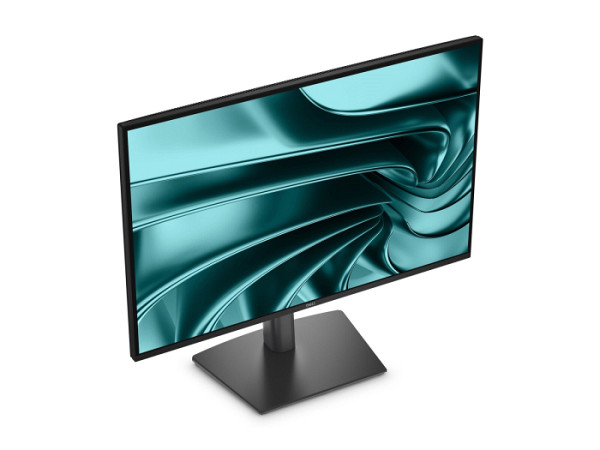 DELL Monitor P2426E 24inch
