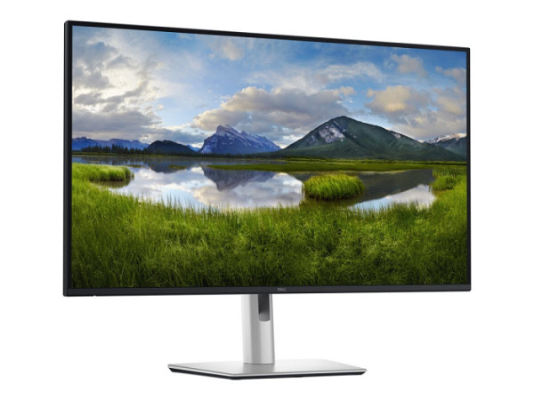 DELL Pro 32 Plus P3225DE 31.5inch