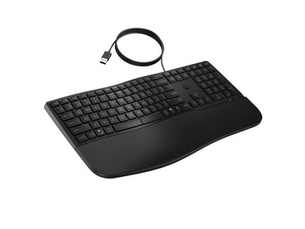 HP 485 CFT WD KBD Adriatics