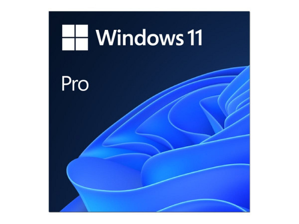 MS ESD Win Pro 11 64-bit