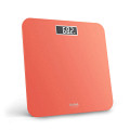 TEFAL osebna tehtnica Premiss PP1803V0