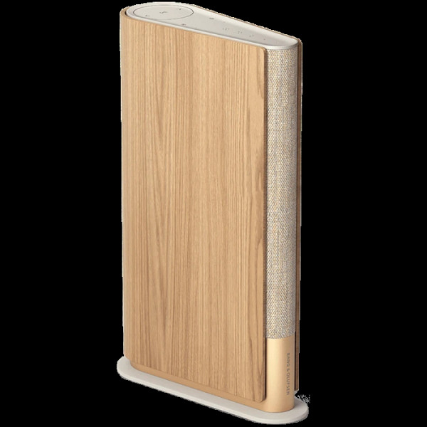 BANG&OLUFSEN Beosound A1 2end Gen , bluetooth zvočnik