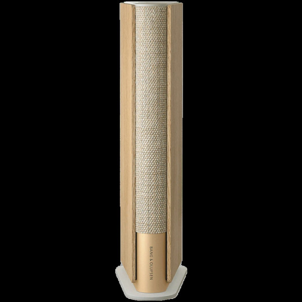 BANG&OLUFSEN Beosound A1 2end Gen , bluetooth zvočnik