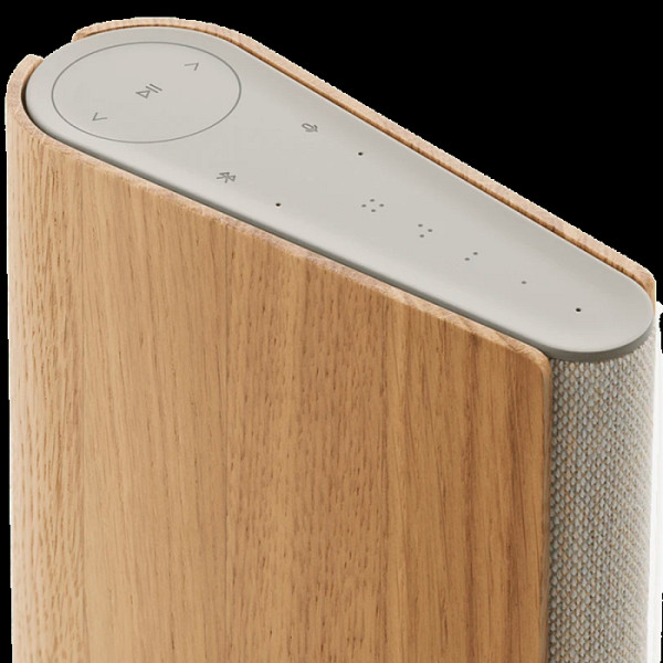 BANG&OLUFSEN Beosound A1 2end Gen , bluetooth zvočnik