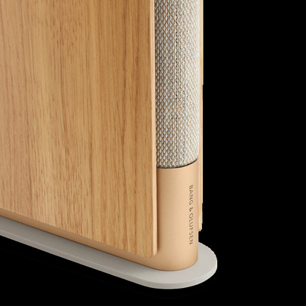 BANG&OLUFSEN Beosound A1 2end Gen , bluetooth zvočnik