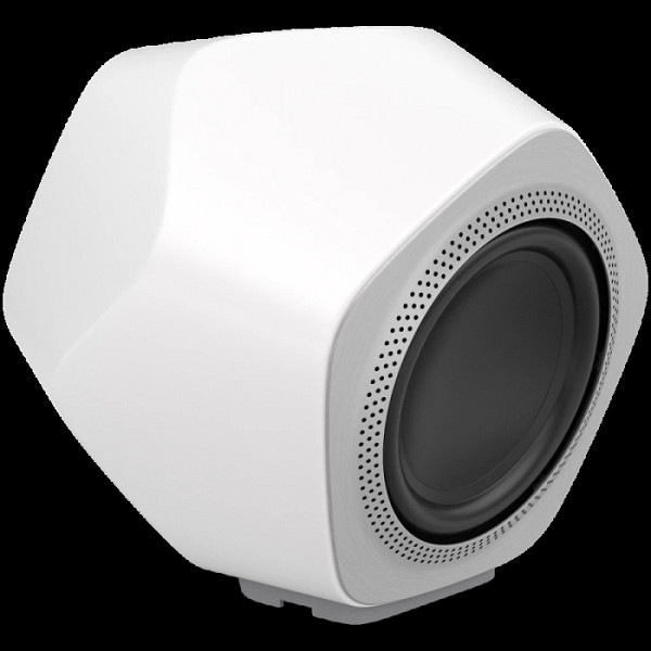 Beolab 19 Speaker White (Frame Natural Alu)