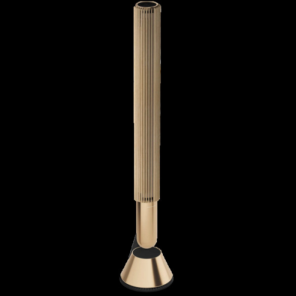 Beolab 28 Speaker Gold Tone (no inner cover)