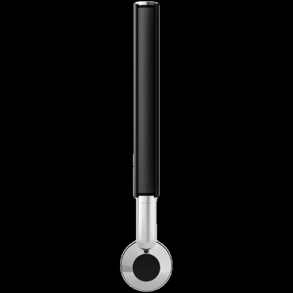 Beolab 28 Speaker Natural Alu (Inner Cover Cosmic Black)