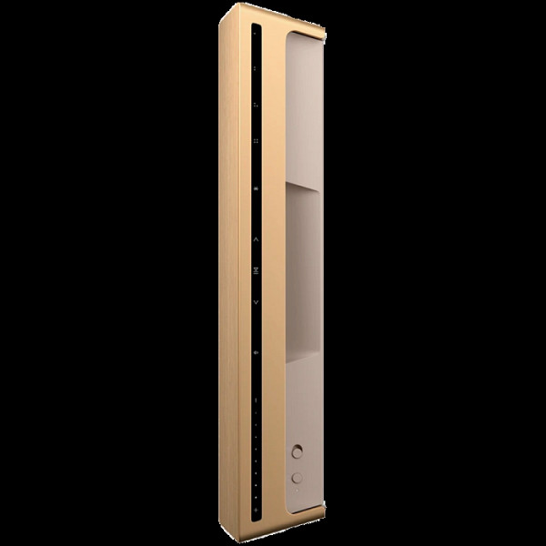 Beosound Level Speaker Gold Tone Alu (Cover Light Oak)