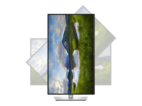 DELL Pro Plus P2725QE 68,58cm (27