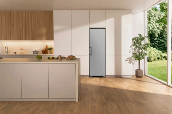 Gorenje zamrzovalna omara FNC618E4X5E G400, E, 186 x 59.5 x 59.8 cm srebrn