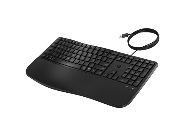 HP 485 CFT WD KBD Adriatics