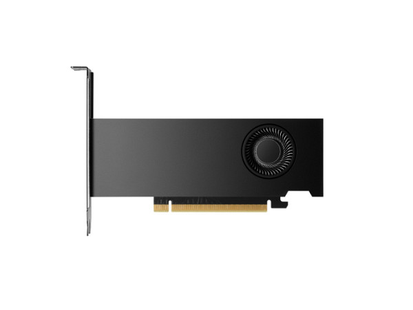 HP NVIDIA RTX 2000 Ada 16GB 4mDP Graphic