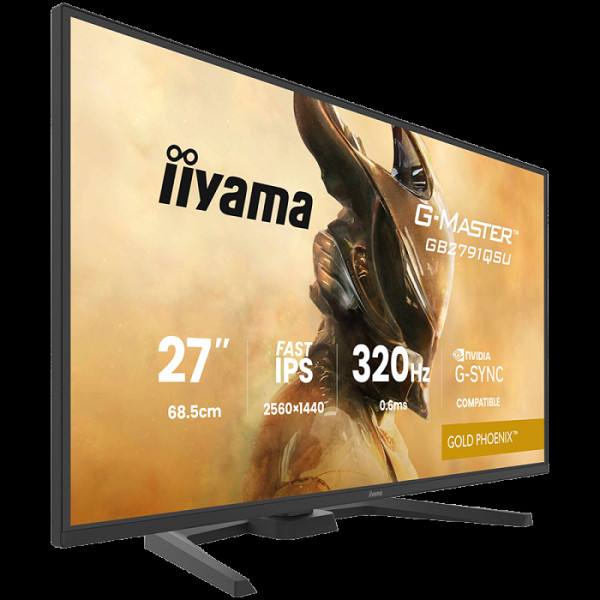 IIYAMA Monitor LED GB2791QSU-B1 G-MASTER 27
