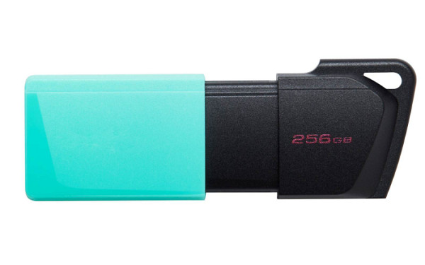 KINGSTON 256GB DataTraveler Exodia M