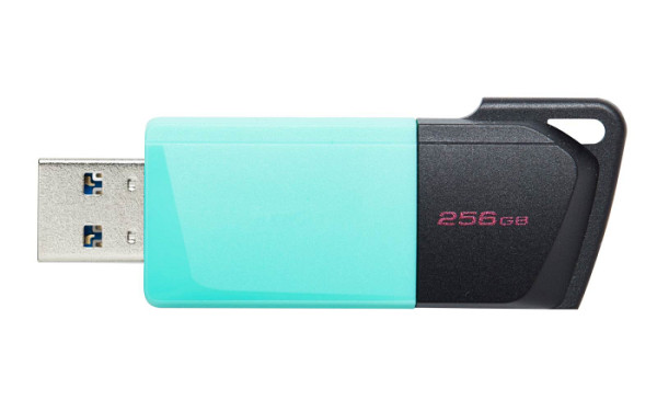 KINGSTON 256GB DataTraveler Exodia M