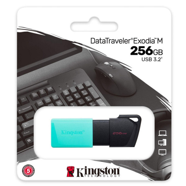 KINGSTON 256GB DataTraveler Exodia M