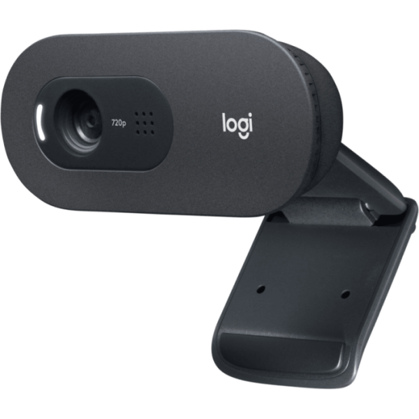 Logitech C505e HD spletna kamera