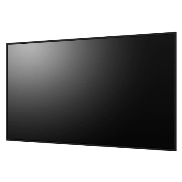 NEC Multisync PN-E659 164cm (65