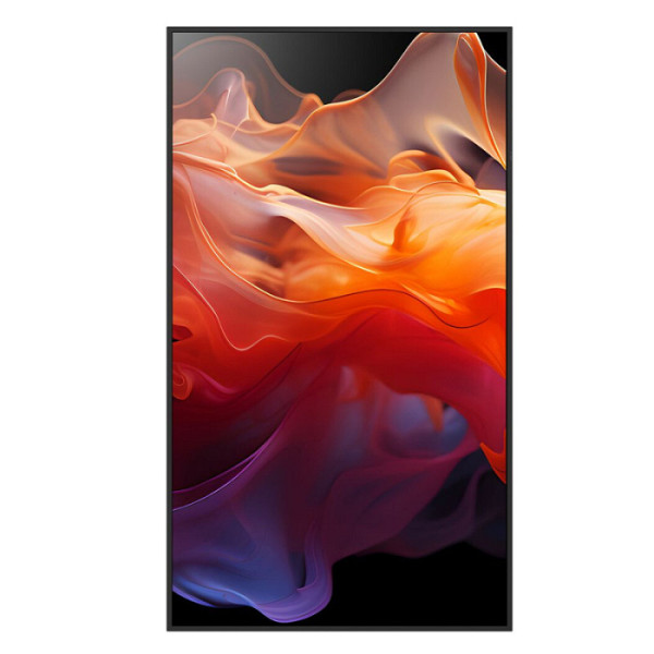 NEC Multisync PN-E659 164cm (65