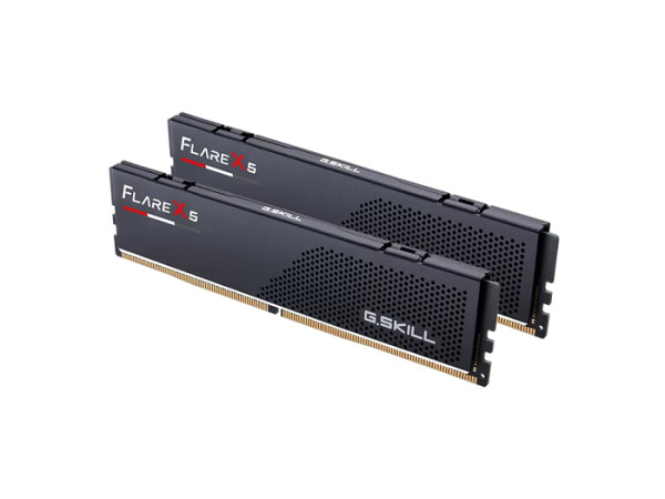 RAM DDR5 32GB Kit (2x16GB) PC5-48000 6000MT/s CL32 1.35V, G.SKILL Flare X5 AMD EXPO, Intel XMP