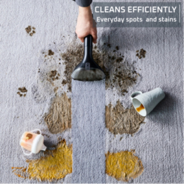 ROWENTA Clean It čistilnik madežev [IN5021F0]